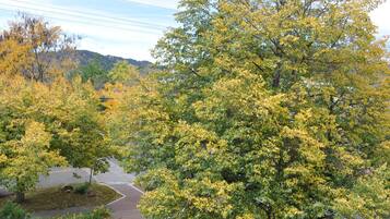A paved pathway surrounded by trees with yellow leaves, a clear sky, and distant hills.