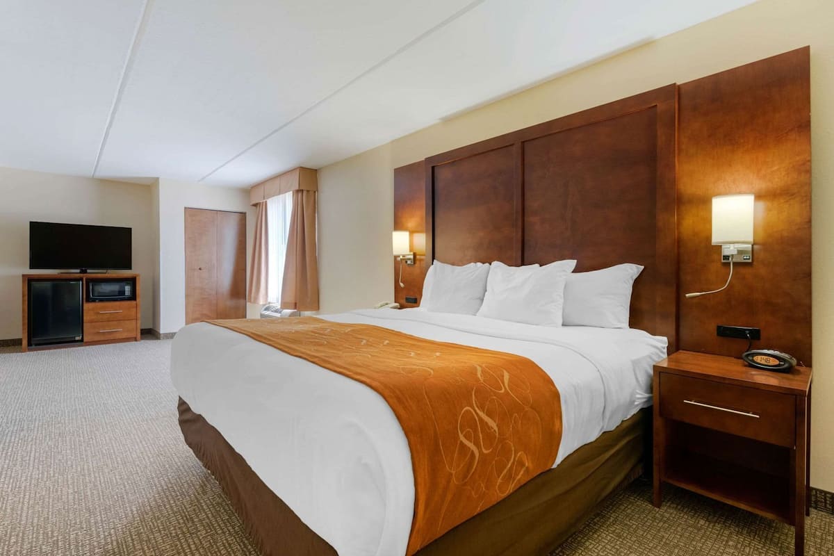 A hotel room with a large bed, a TV, a minibar, and a wooden headboard.