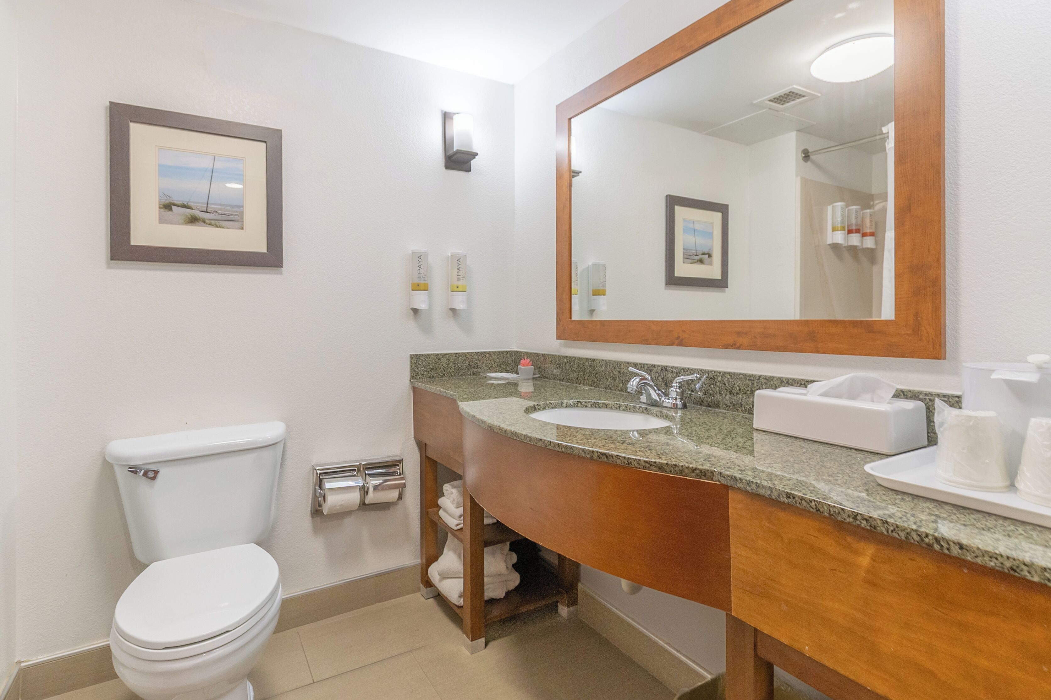 Een badkamer met toilet, wastafel, spiegel en handdoekhouder.