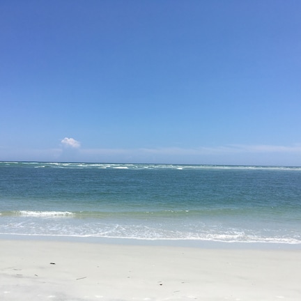A beach with a fishing rod on the sand and the ocean in the background.