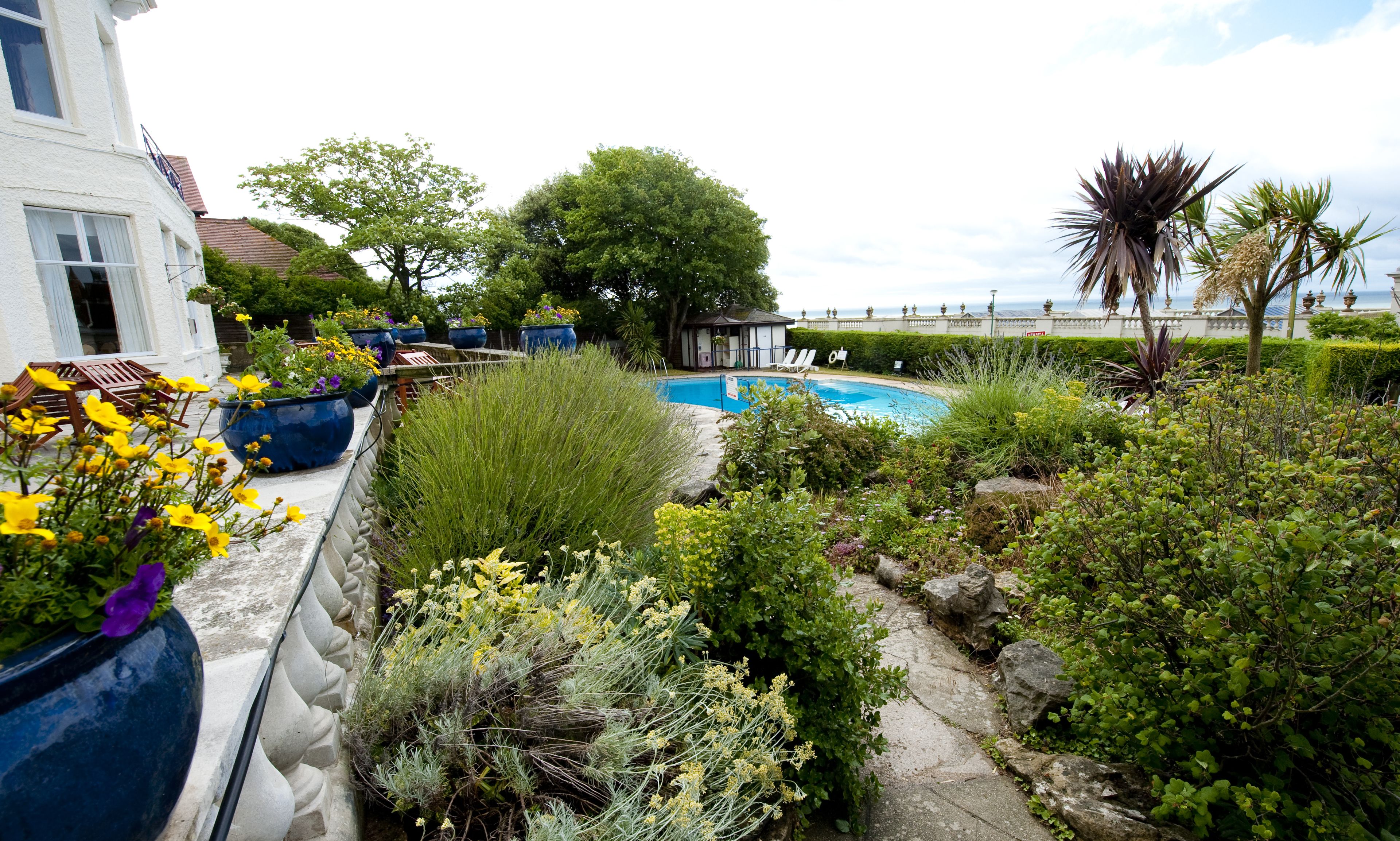 A pool surrounded by lush greenery and potted plants.