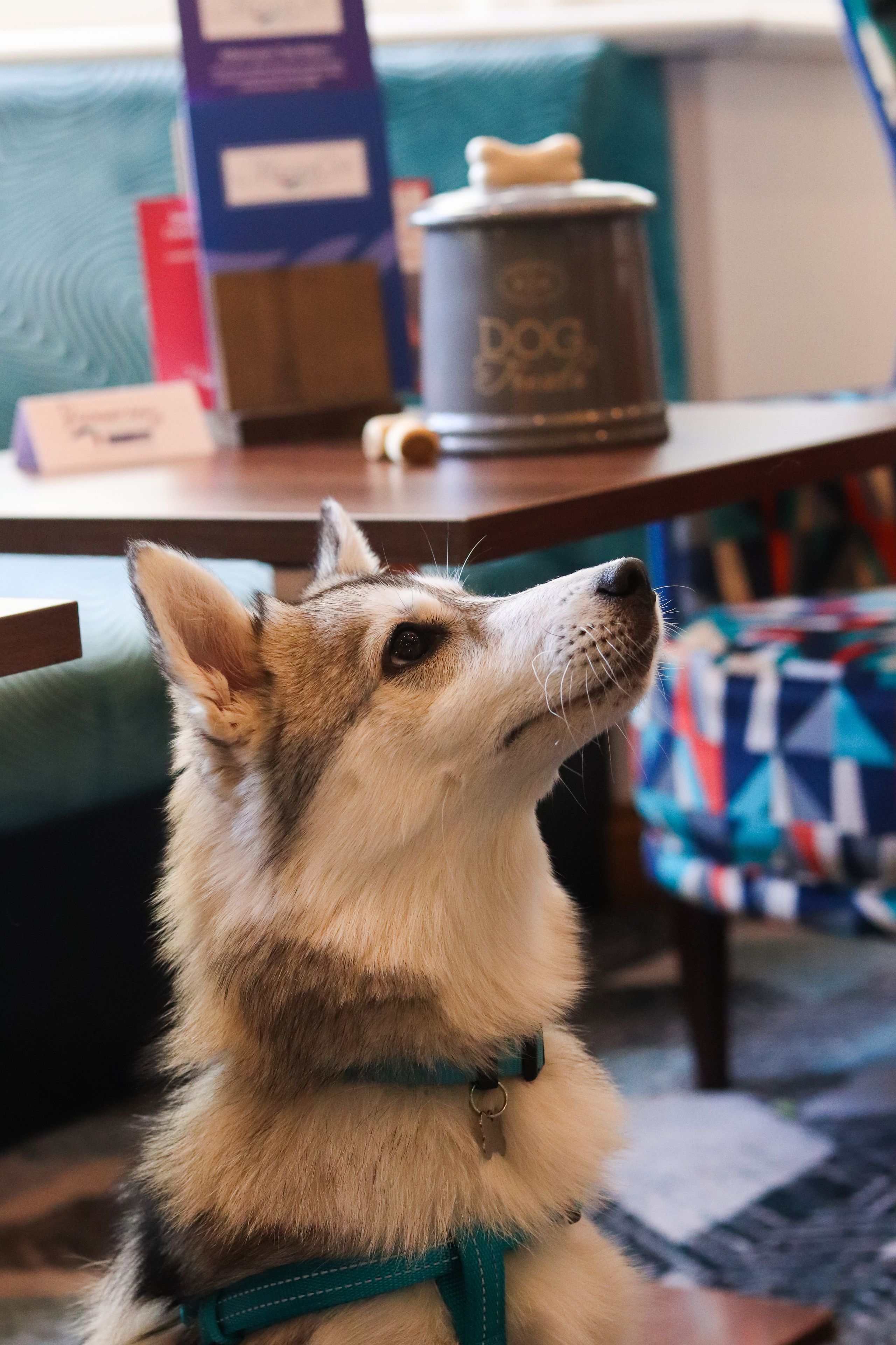 Photo - Marsham Court Hotel