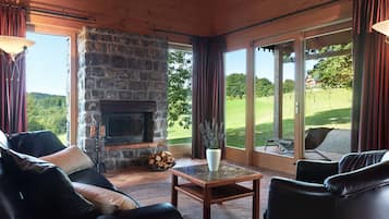 TV, fireplace, DVD player