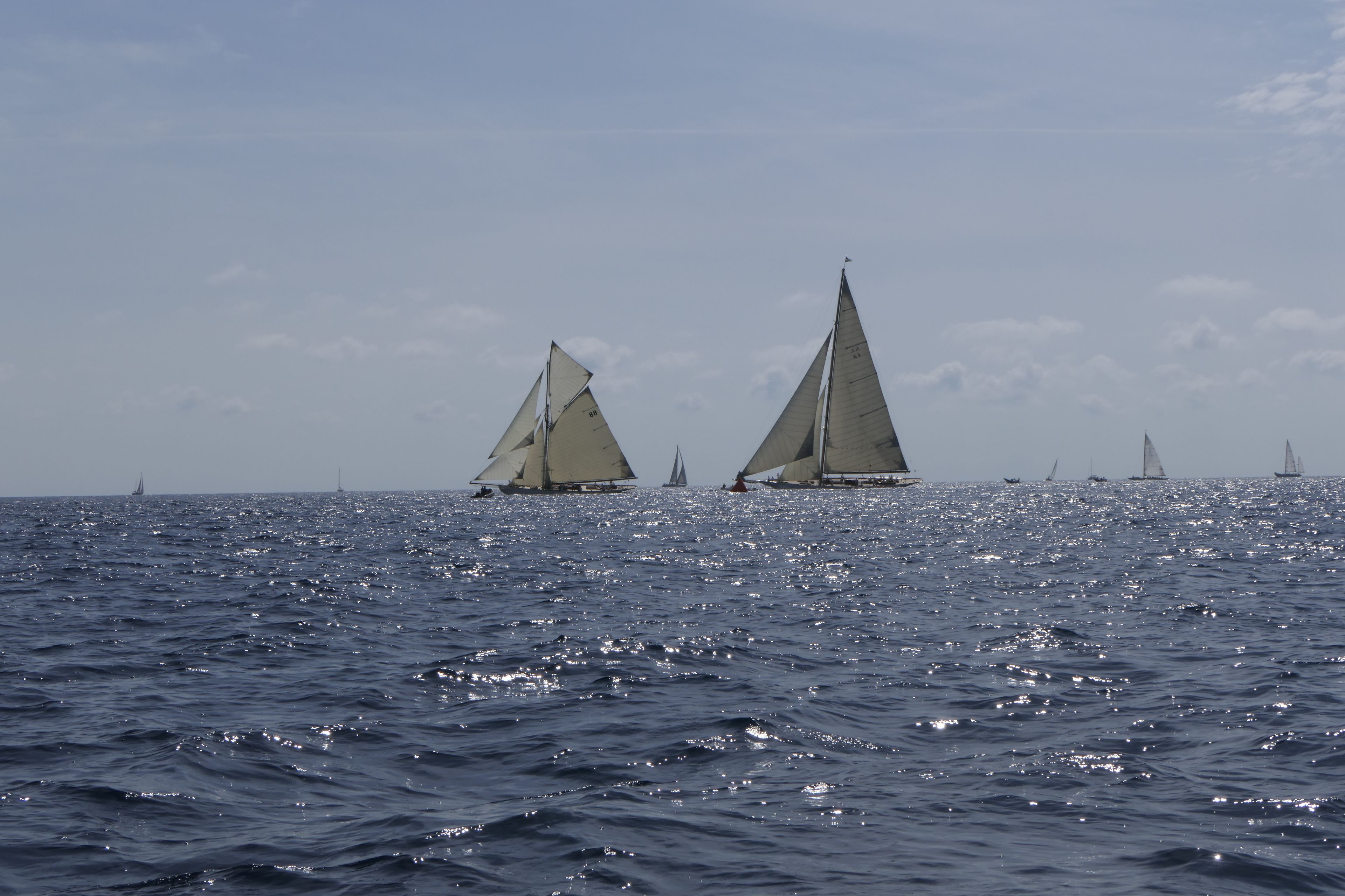 A view of the ocean with multiple sailboats.