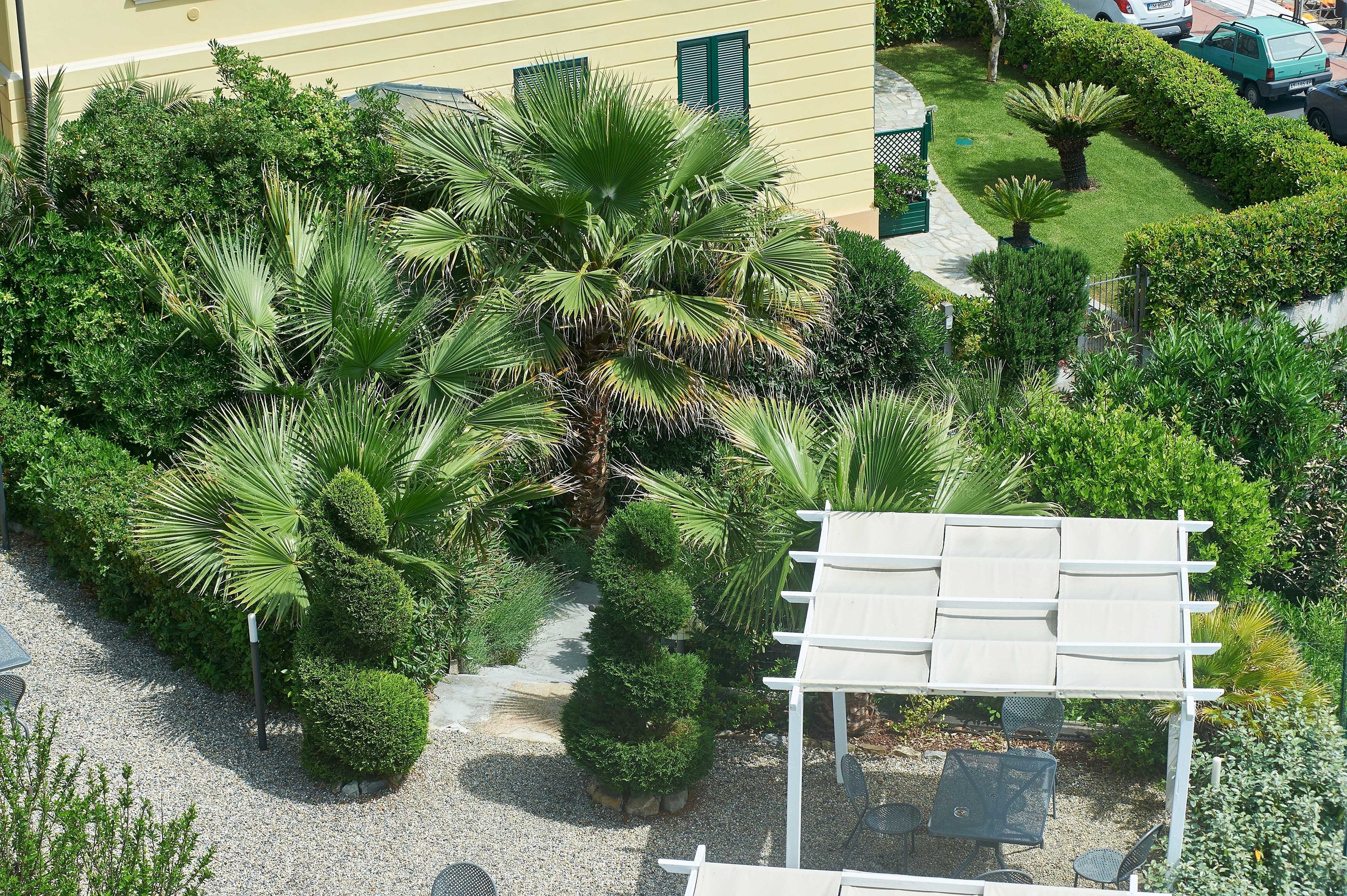 A well-maintained garden with various plants and a pergola structure.