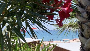 A beach view with a palm tree and red flowers in the foreground. - Hotel Corallo (Imperia)