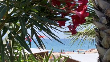 Plage privée à proximité, chaises longues, parasols, bar de plage