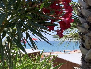 Privatstrand in der Nähe, Liegestühle, Sonnenschirme, Strandbar