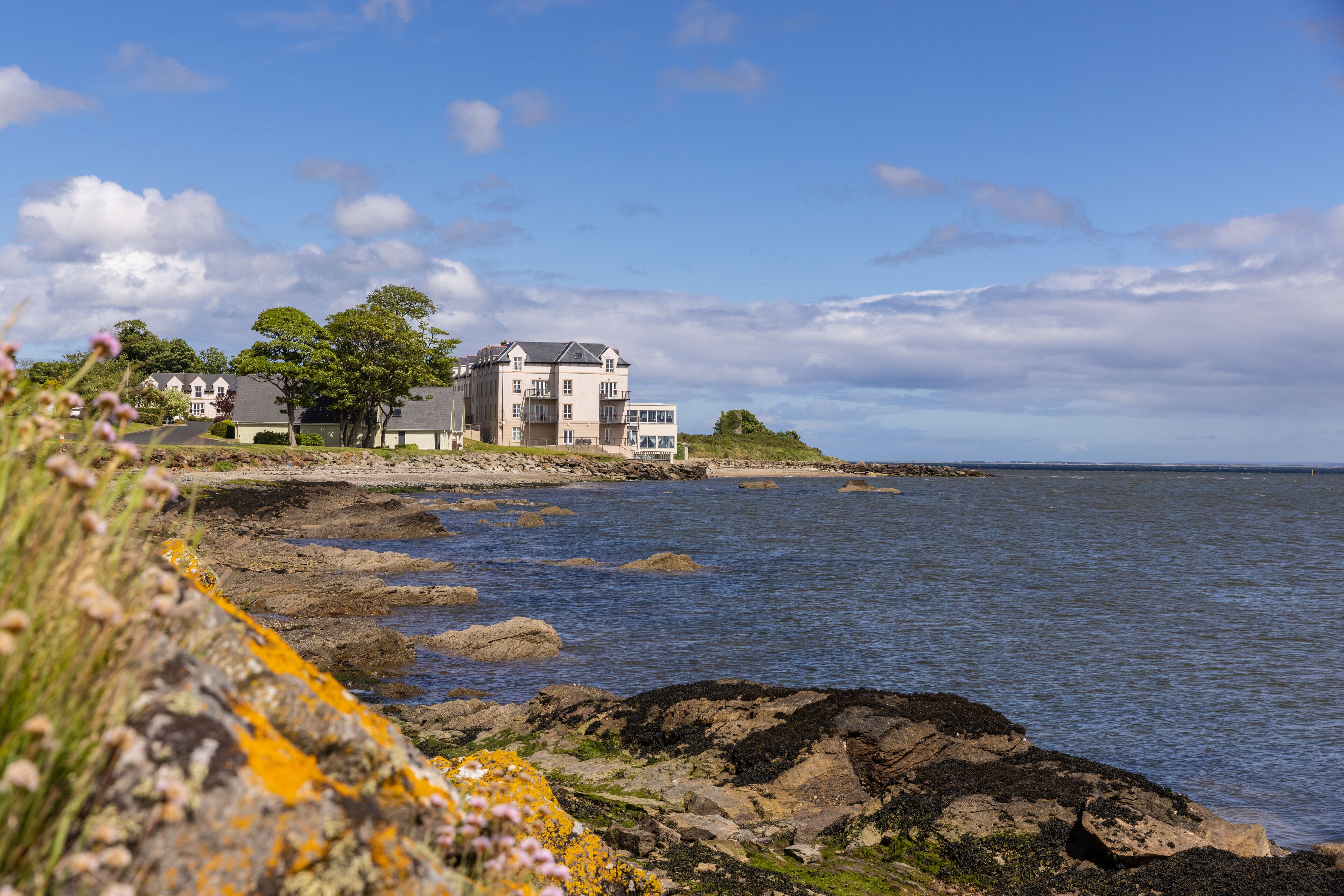 premium bedding, desk, iron/ironing board, free wifi