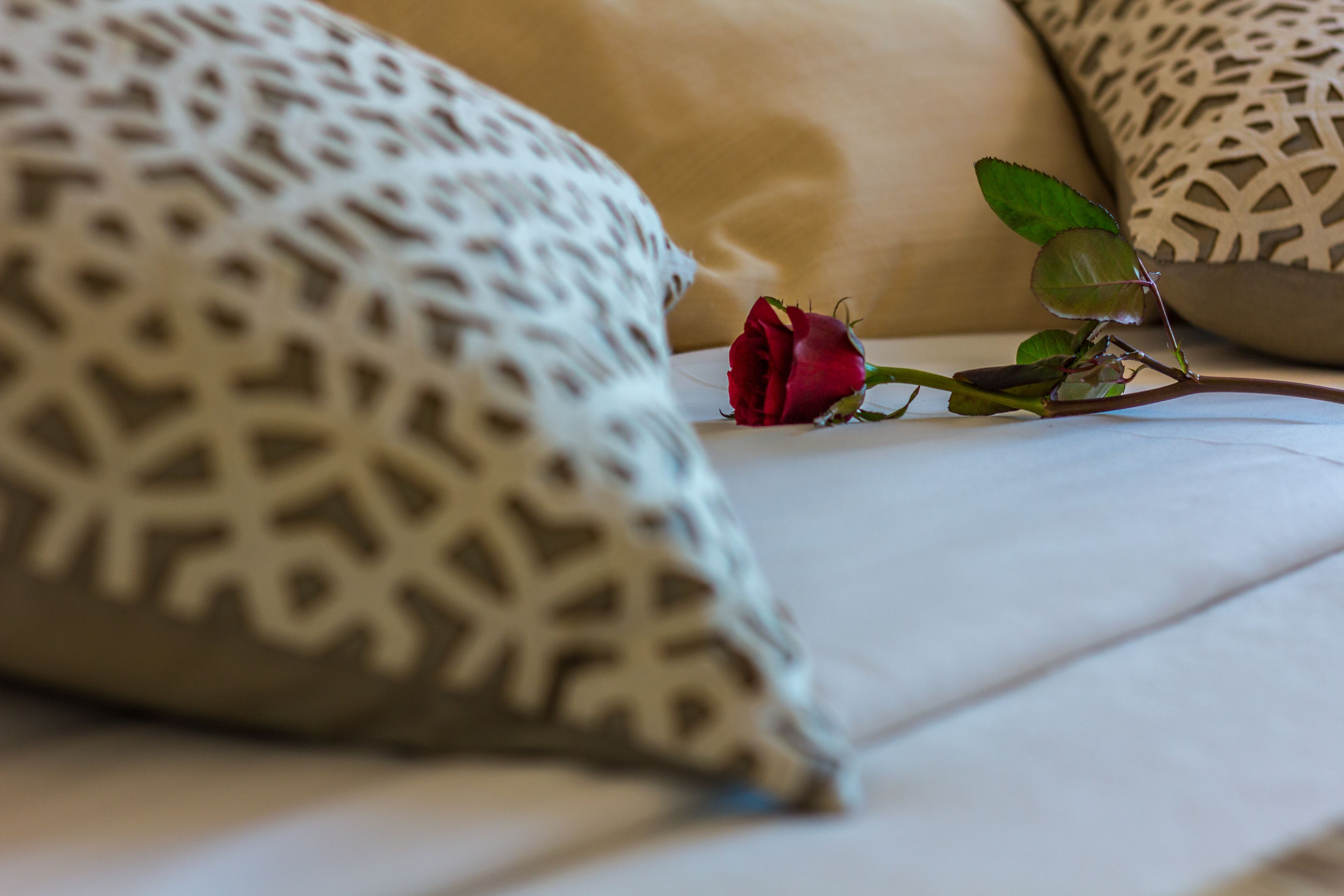 Photo - Hotel Sao Sebastiao de Boliqueime