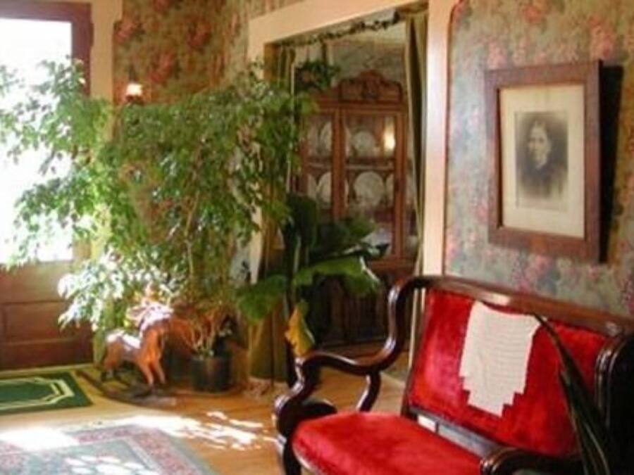 A room with a red sofa, a wooden cabinet, and a large potted plant.