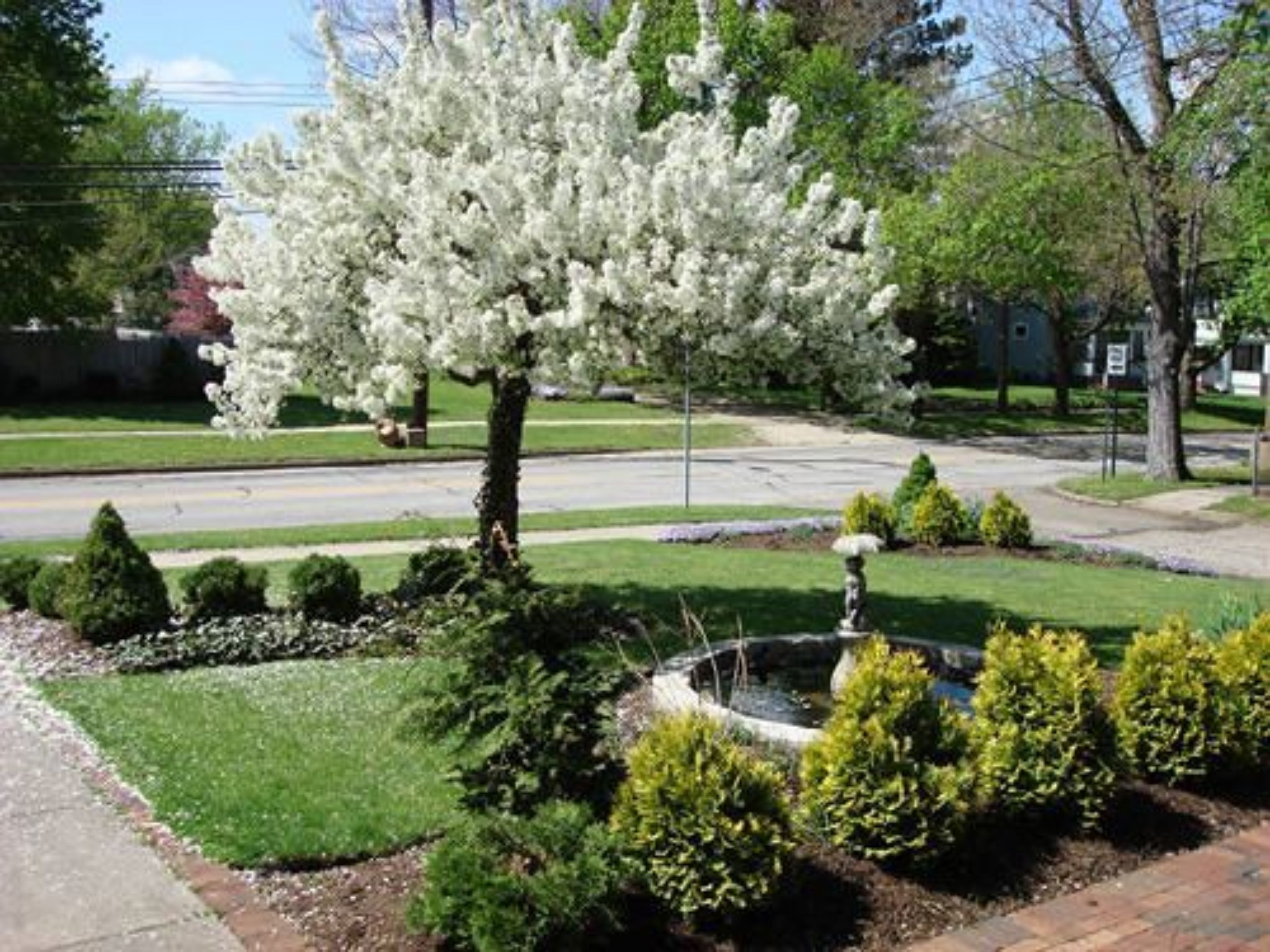 A well-maintained garden with a variety of shrubs and a central circular flower bed.