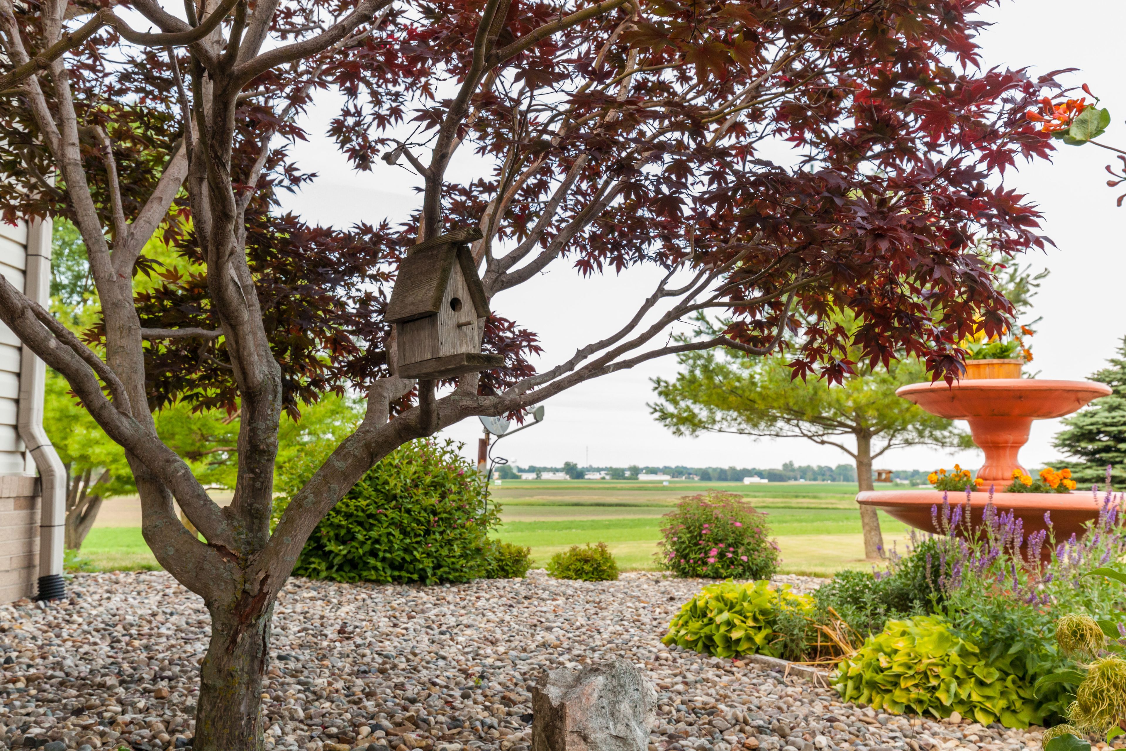 A garden with a tree, a birdhouse, and a decorative planter.