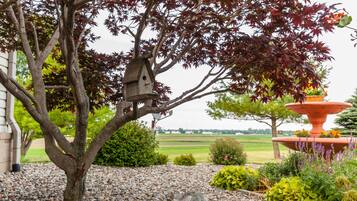 A garden with a tree, a birdhouse, and a decorative planter.