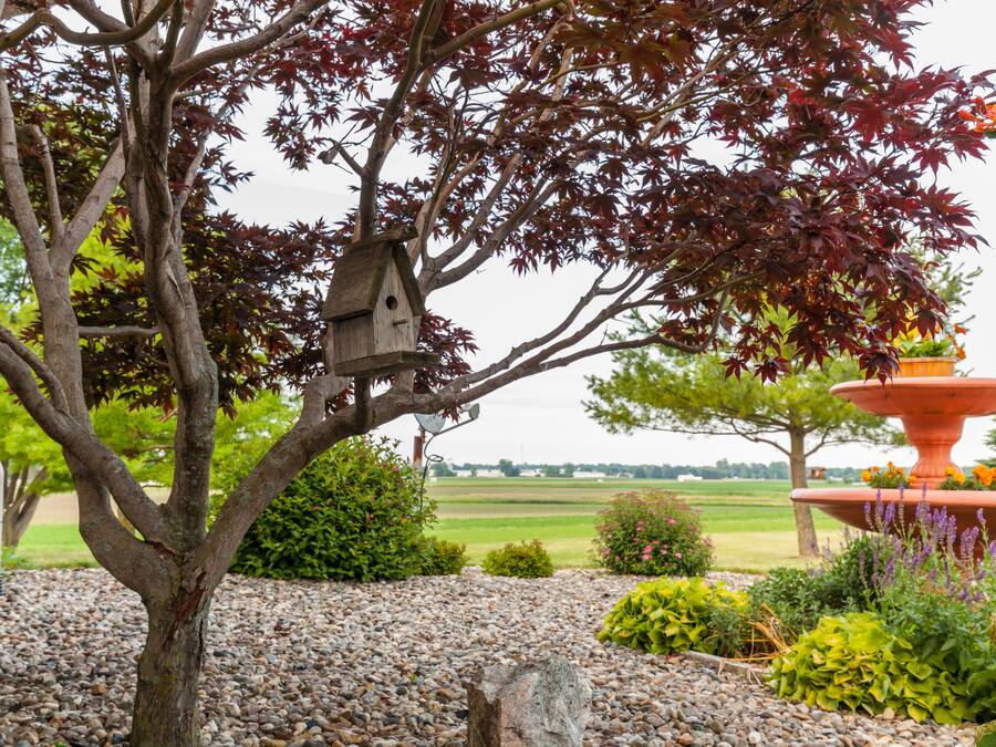 A garden with a tree, a birdhouse, and a decorative planter.