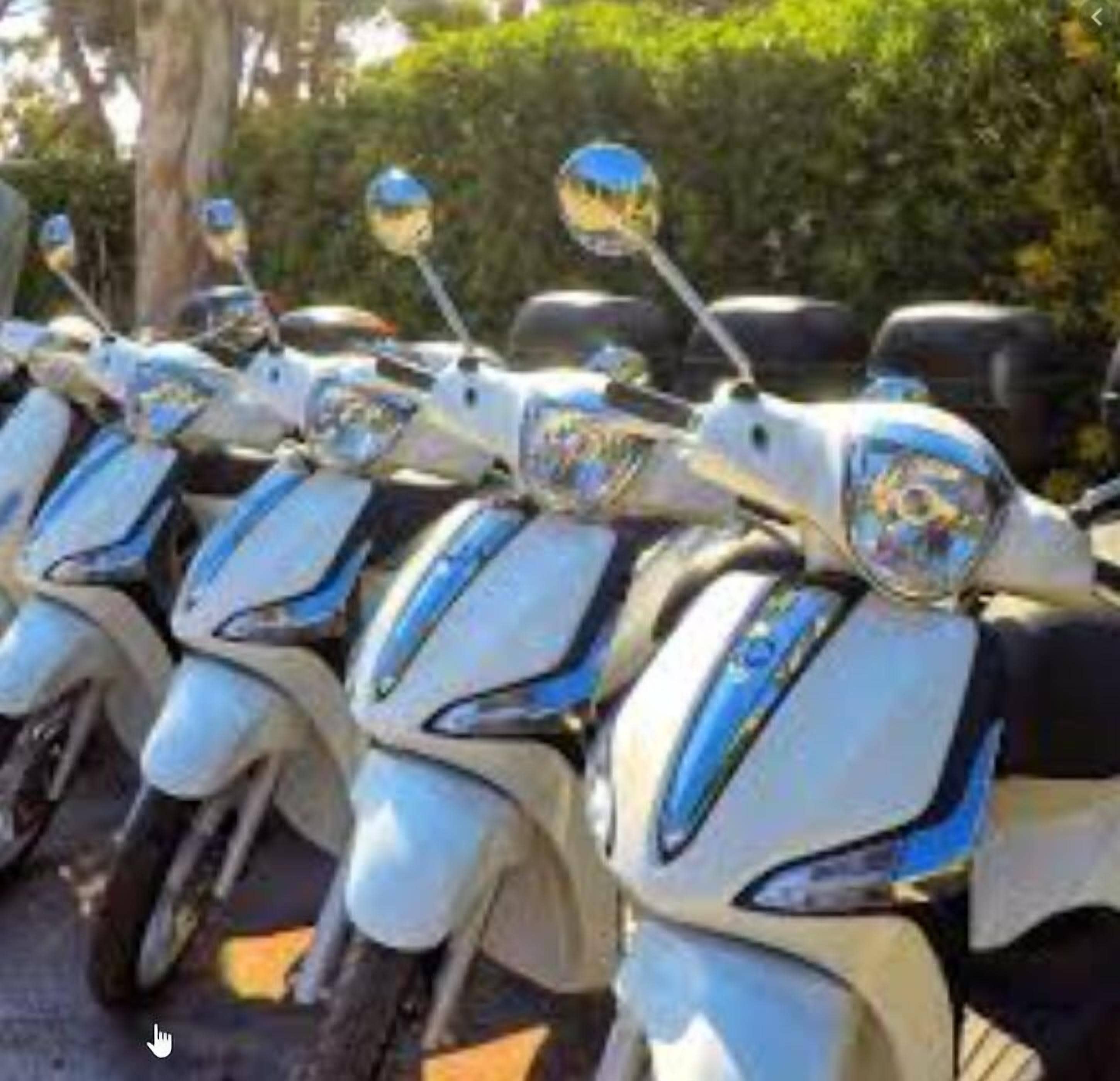 Una fila de scooters blancos con detalles azules estacionados al aire libre.