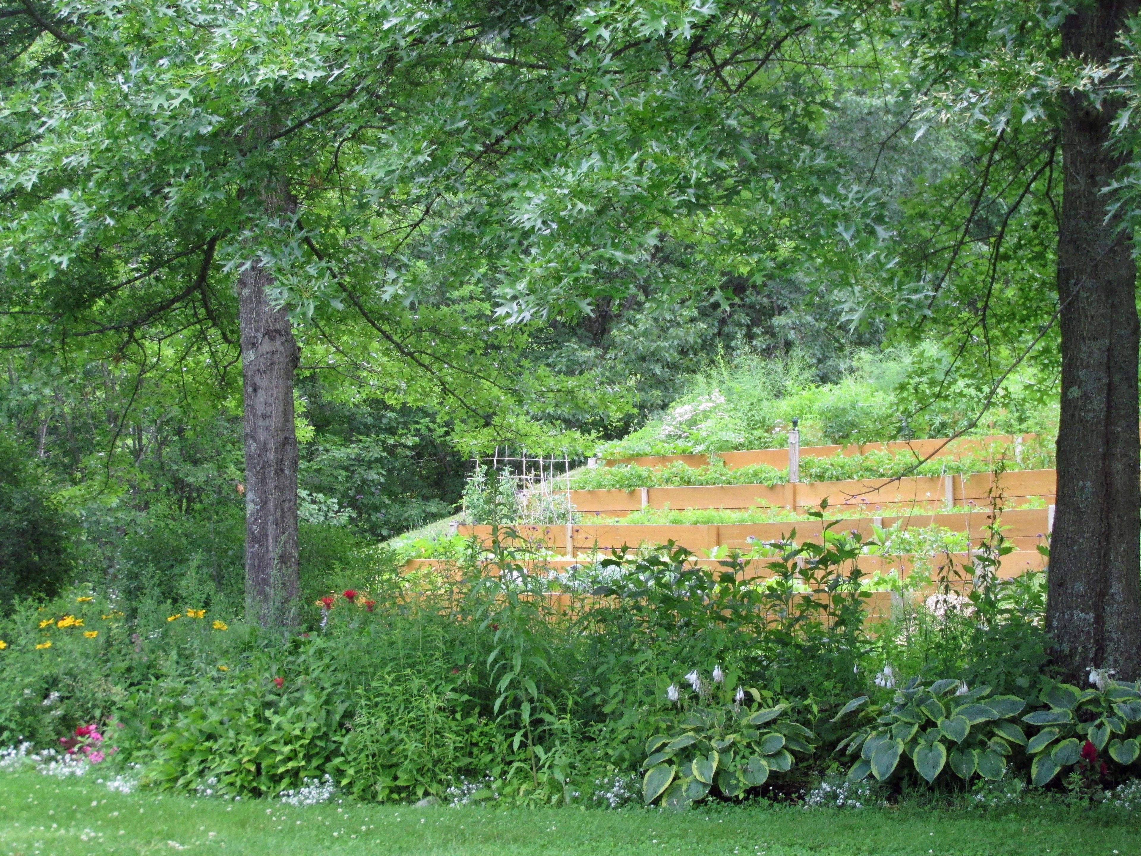 Un jardín con diversas plantas y árboles, una valla de madera y una zona con césped.