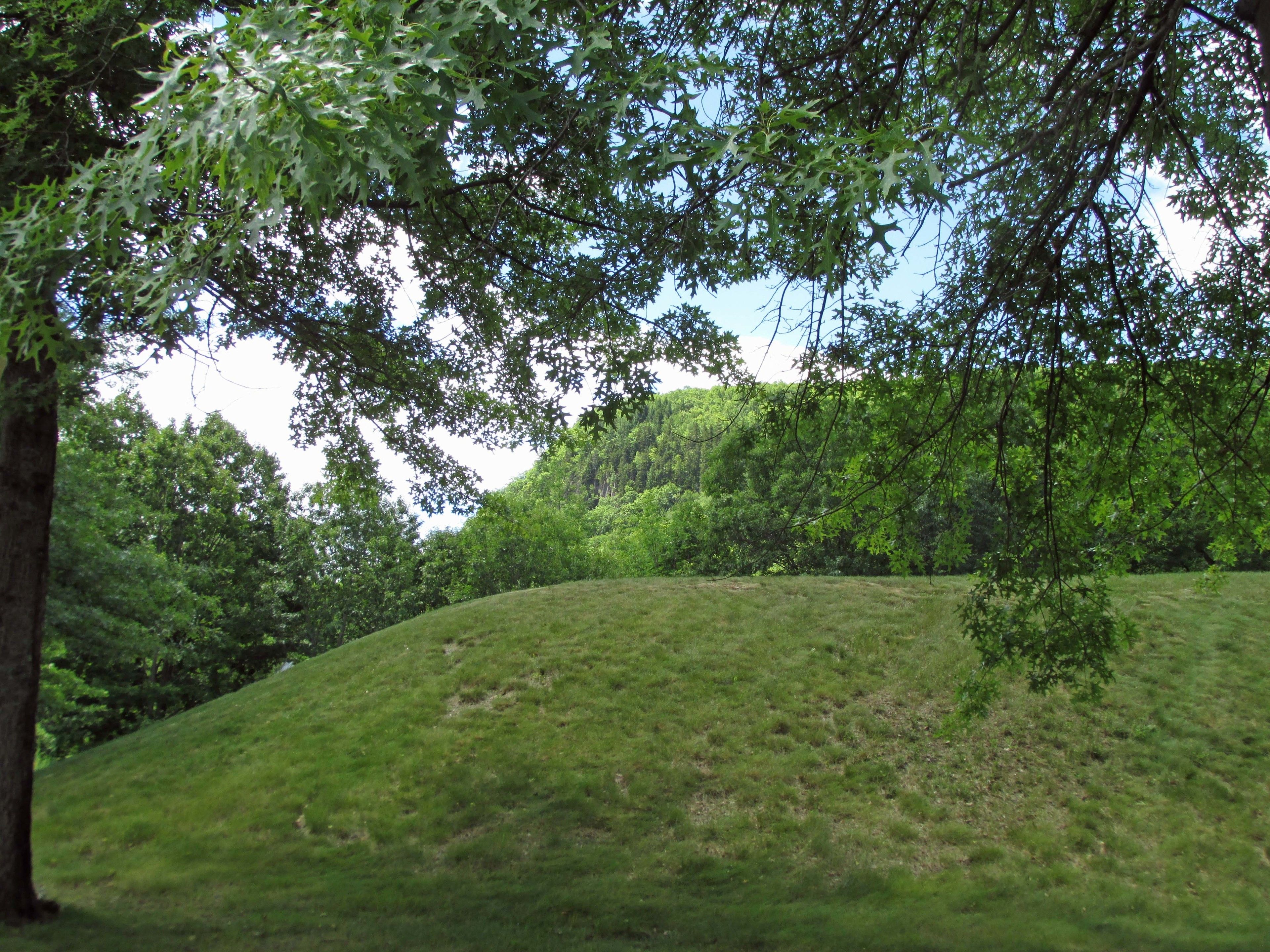 A grassy hill with trees and a clear sky.