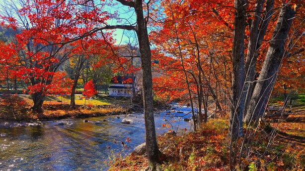A river flowing through a forest with autumn foliage, a house in the background, and a clear sky. - The Lodge At Jackson Village (Jackson)