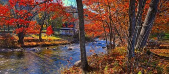 The Lodge At Jackson Village