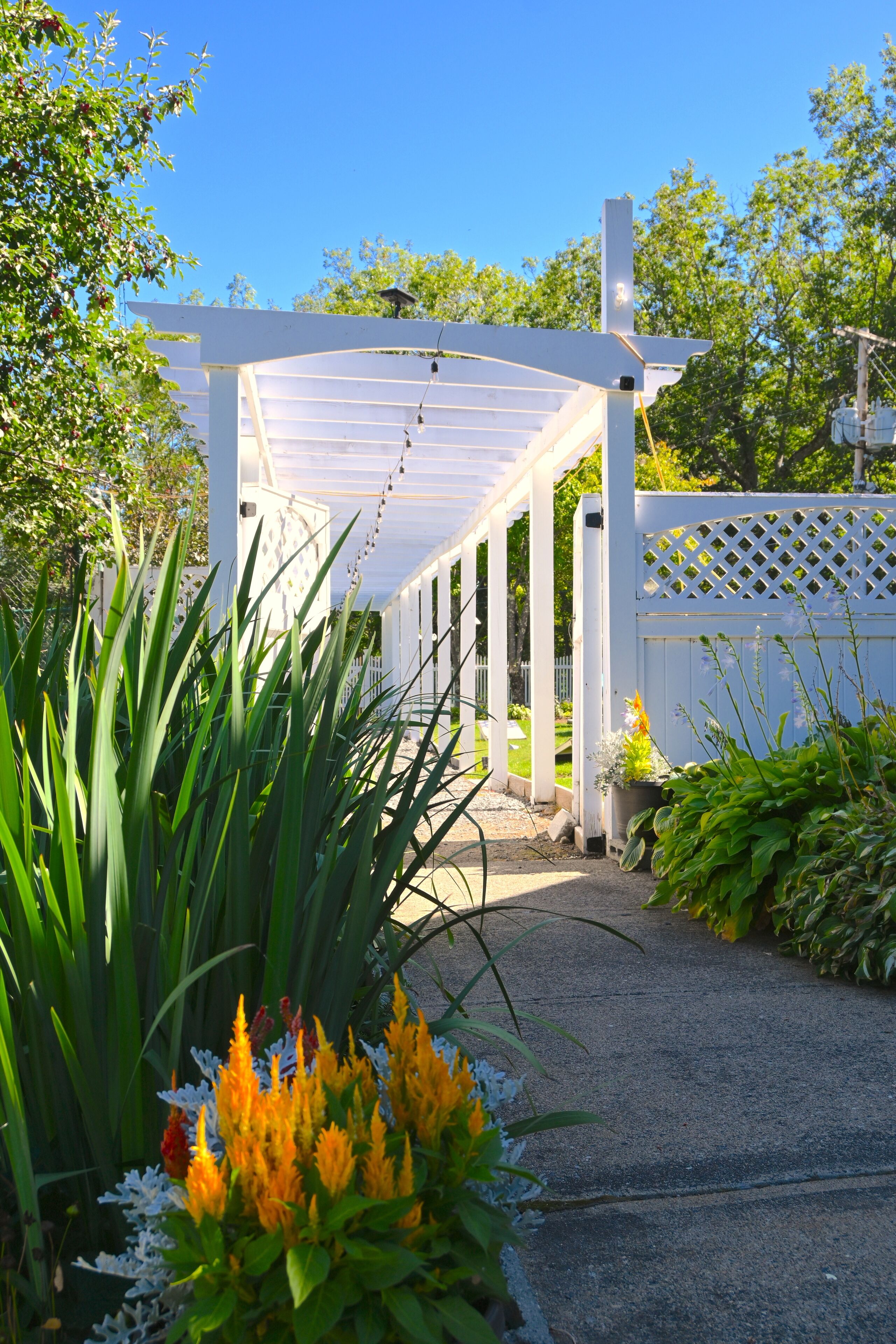 A covered outdoor area with a white pergola, surrounded by lush greenery and flowering plants.