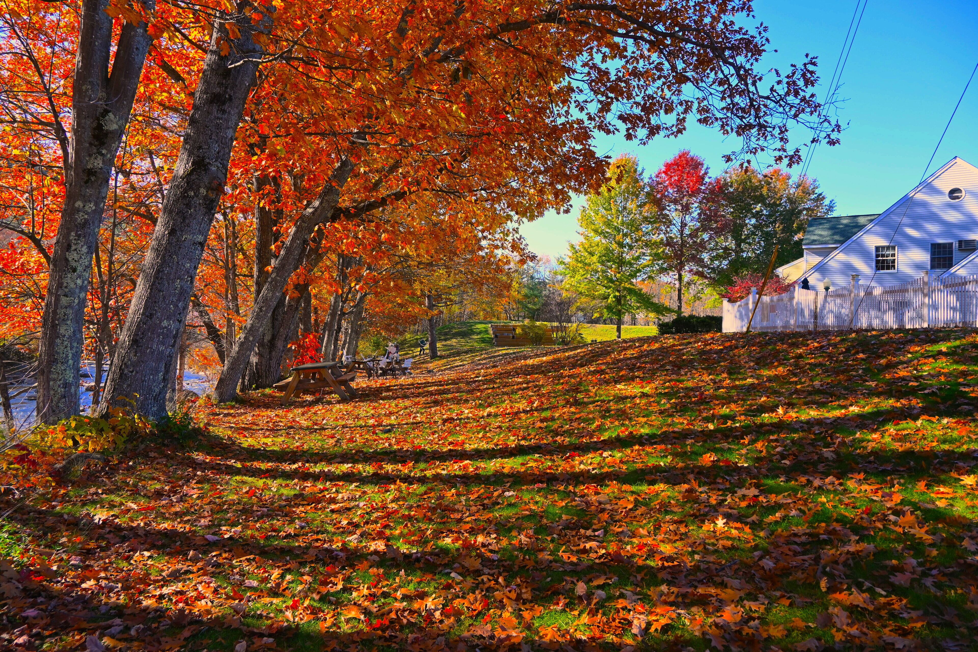 A residential area with a white house, a grassy slope, and trees with autumn leaves.