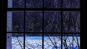 A window with a view of a snowy landscape and trees. - The Lodge At Jackson Village (Jackson)