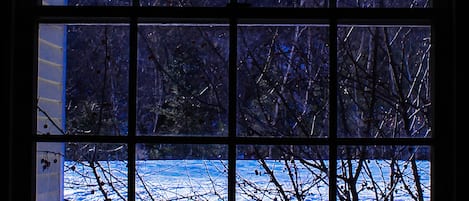 A window with a view of a snowy landscape and trees.