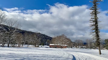A snow-covered landscape with a clear sky, a snow-covered path, and a mountain in the background.