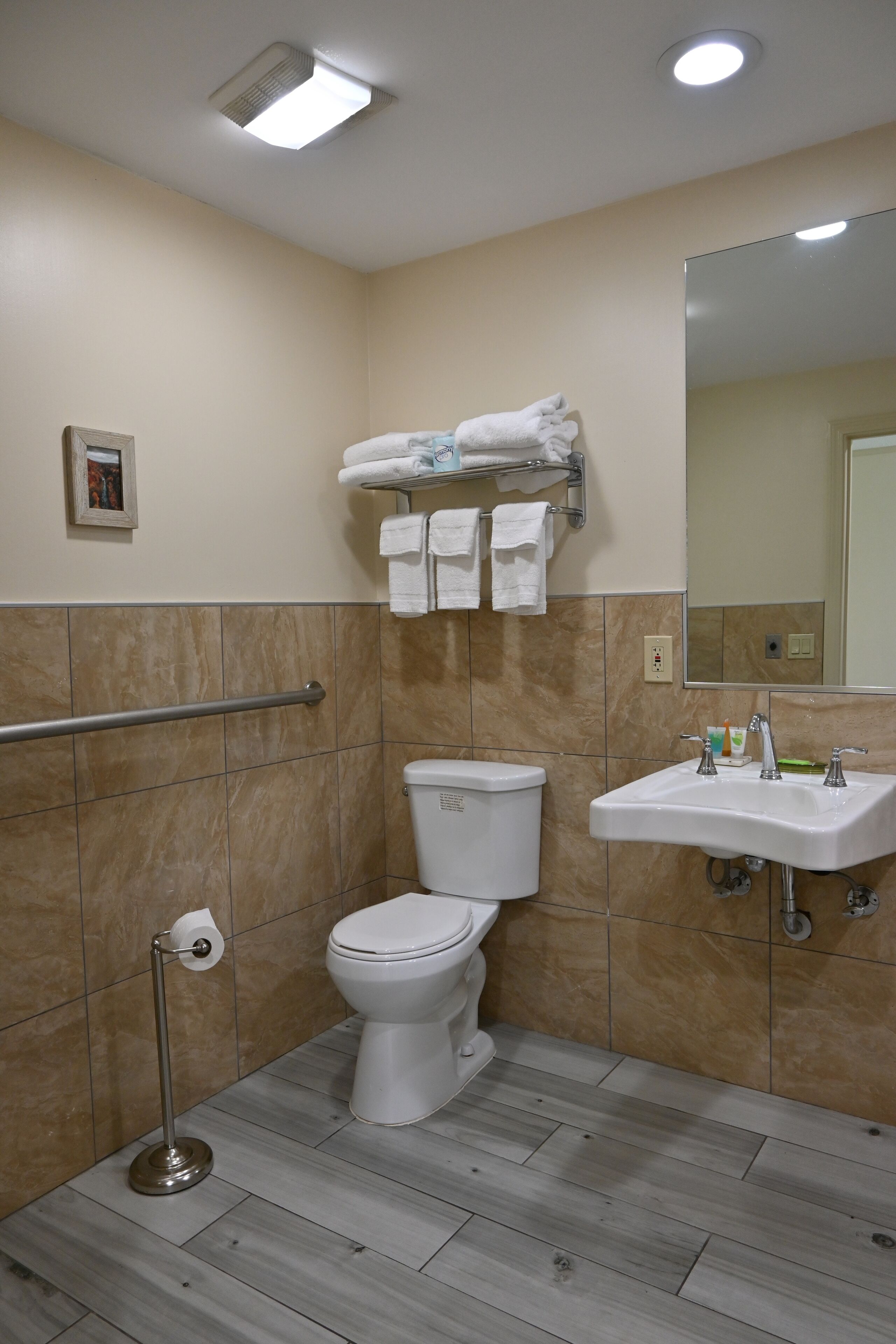 A bathroom with a toilet, sink, and handrail.