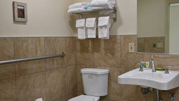 A bathroom with a toilet, sink, and handrail.