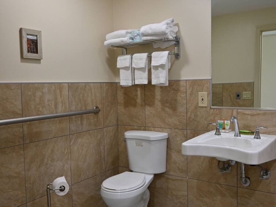 A bathroom with a toilet, sink, and handrail.