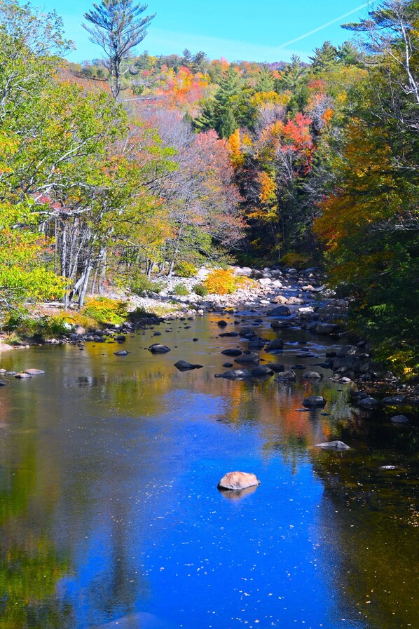 Vista despejada de un río con rocas y árboles al fondo.