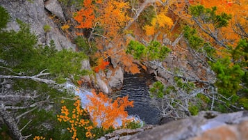 A rocky landscape with autumn foliage.