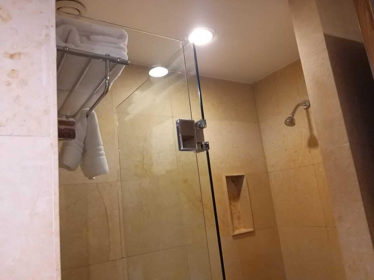 Una ducha con cerramiento de vidrio, un perchero, un cabezal de ducha y un pequeño panel de madera en la pared.