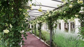 Um caminho bordeado por rosas brancas e vegetação sob uma estrutura de vidro.