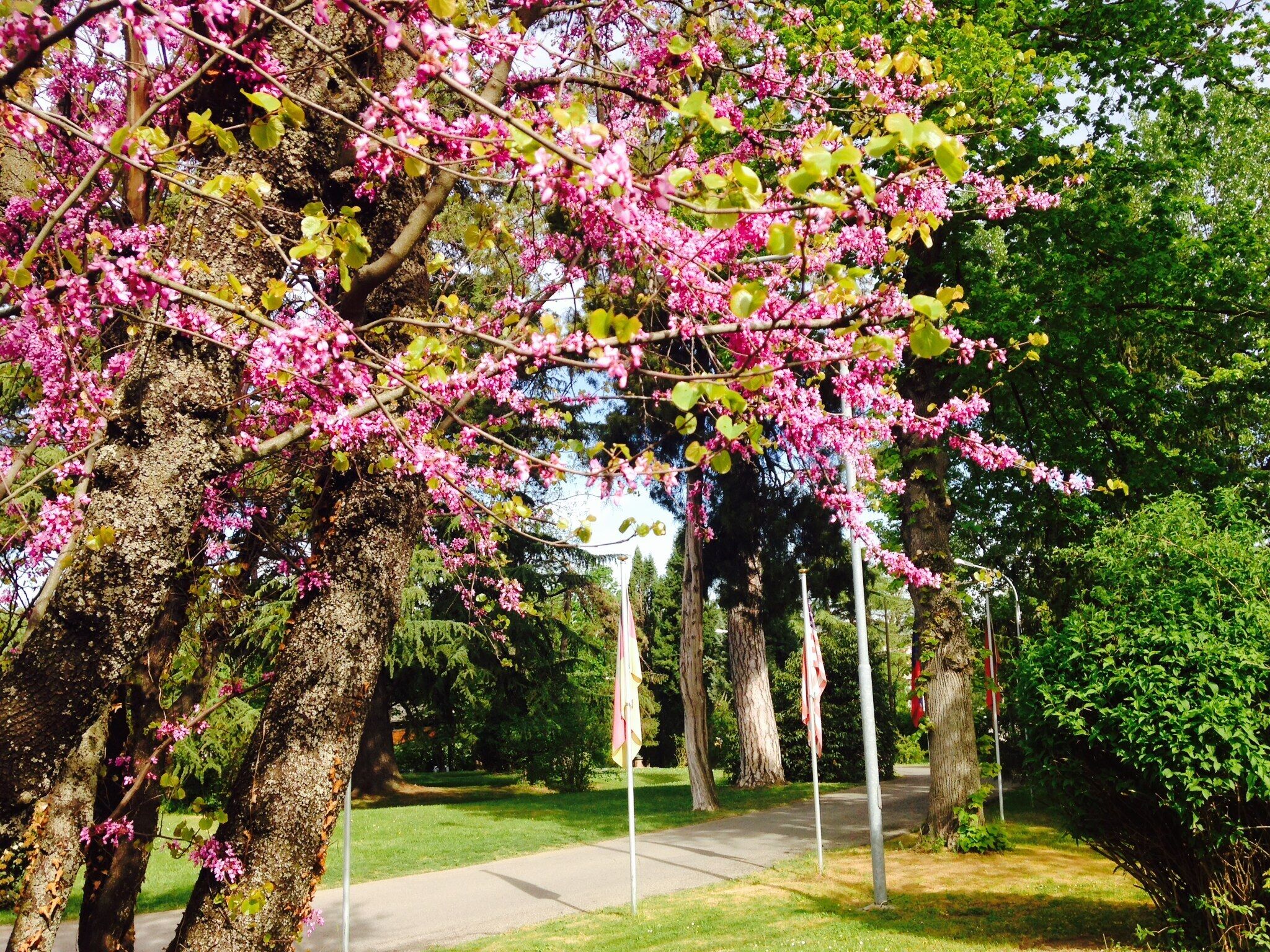 Foto - Hotel Terme Salvarola