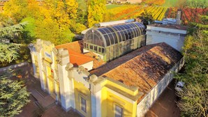 A historic building with a large greenhouse structure, surrounded by lush greenery and vineyards. - Hotel Terme Salvarola (Sassuolo)