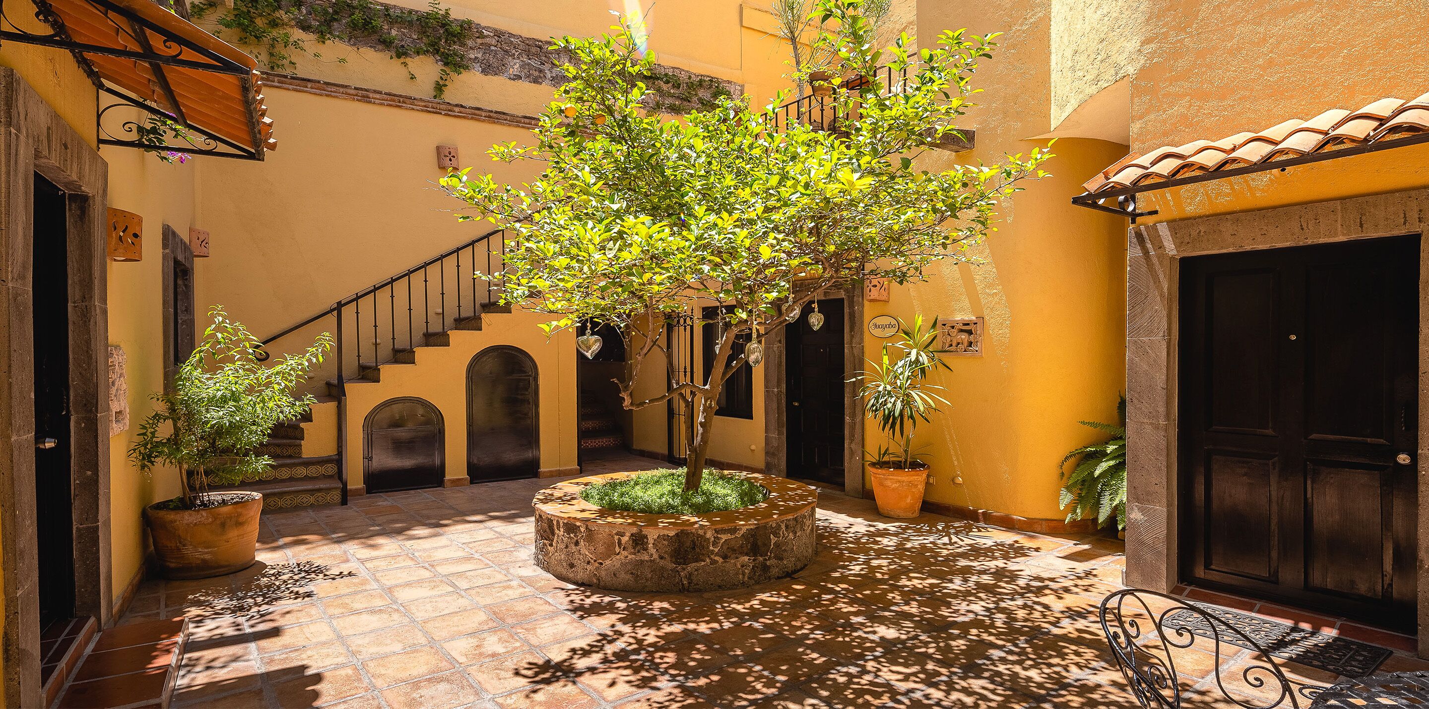 A courtyard with a central tree, potted plants, a staircase, and a door.