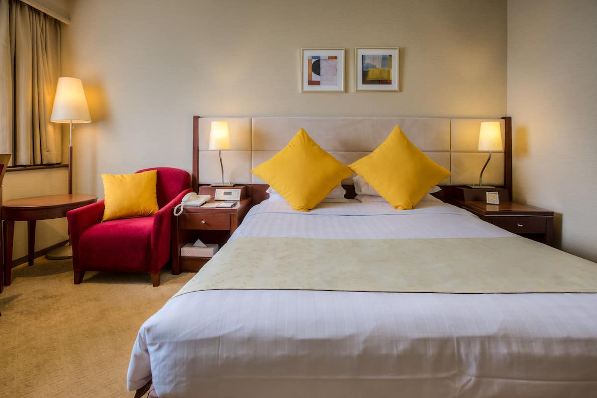 Standard Double Room, 1 Double Bed, City View | 1 bedroom, down duvets, desk, blackout curtains