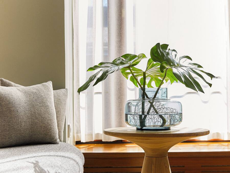 Una habitación con suelo de madera, una cama con manta gris, una mesita de noche con una planta y una ventana con cortinas de encaje.