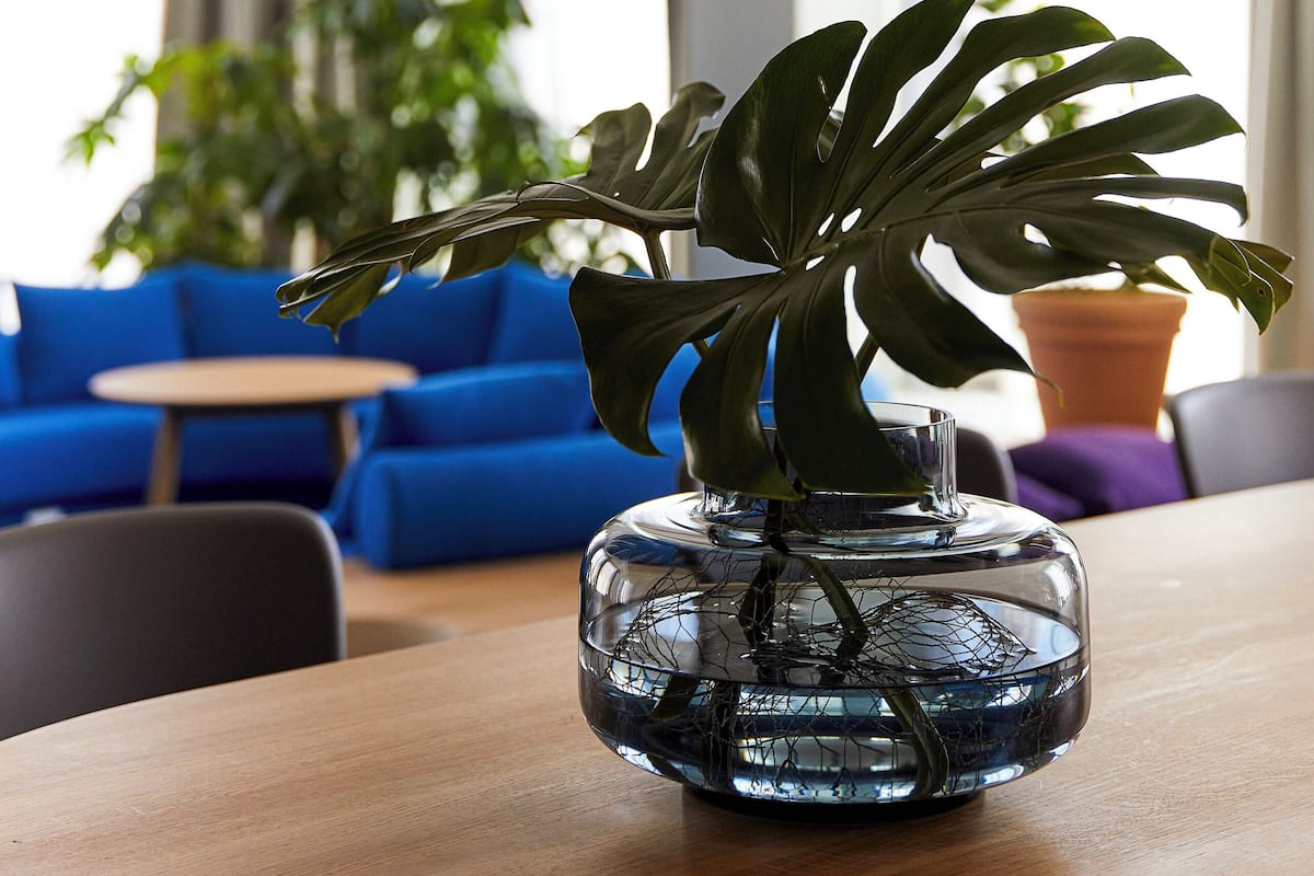 Ropa de cama de alta calidad, cubrecamas y cortinas blackout