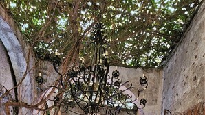 Un área de comedor al aire libre con mesas y sillas, rodeada de muros de piedra y vegetación.