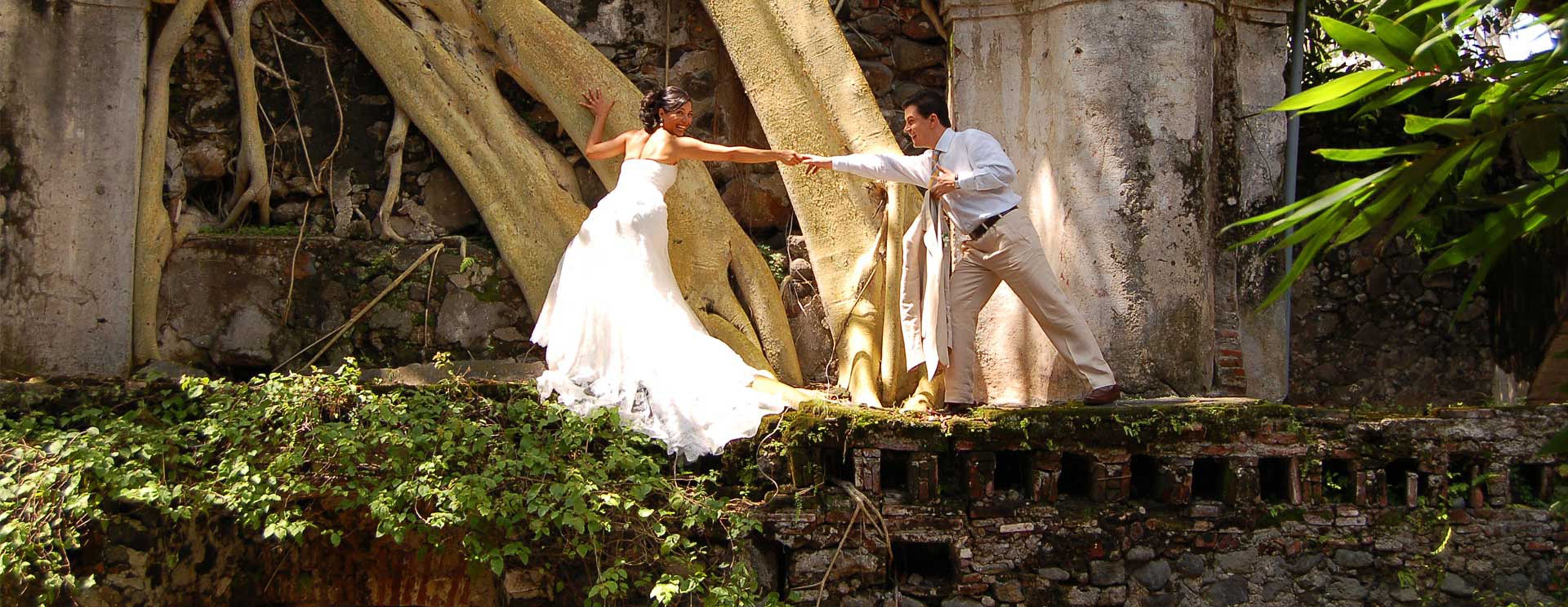 A couple holding hands on a stone platform with a large tree trunk in the background.