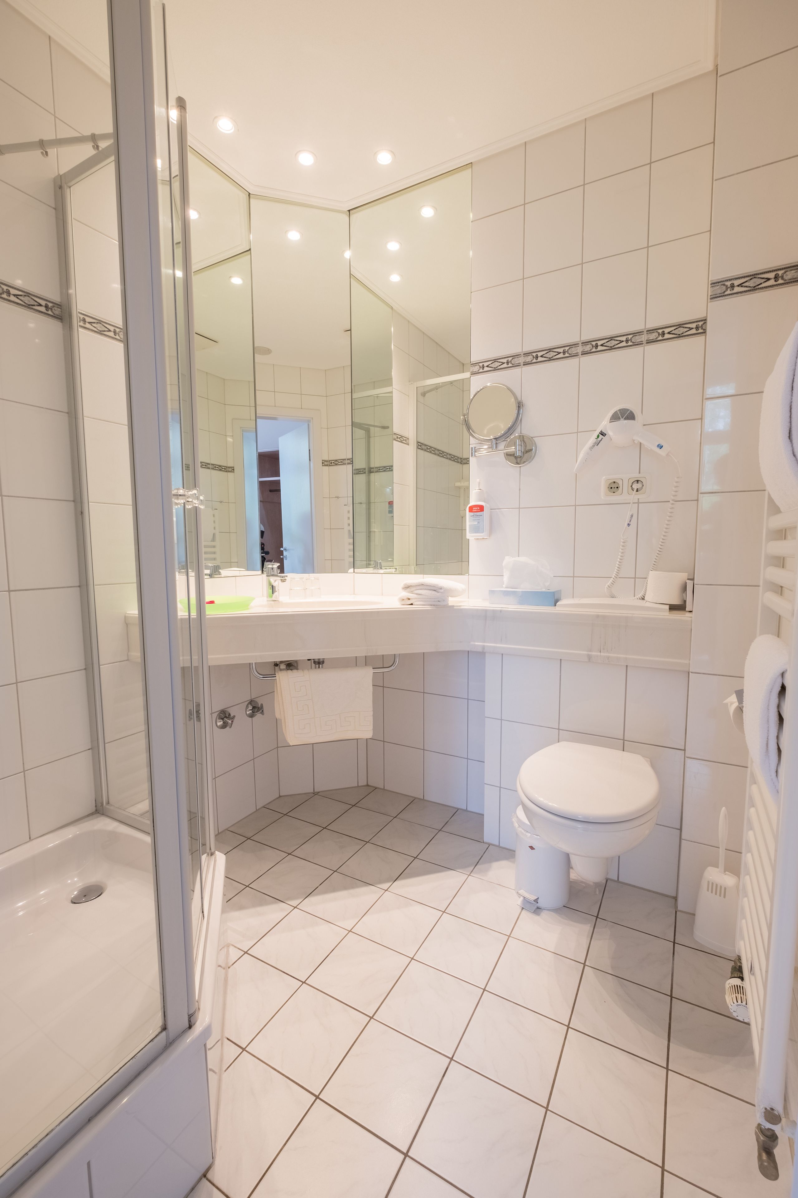 hair dryer, towels, soap, shampoo