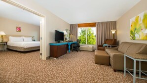 A hotel room with a bed, a desk, a TV, a sofa, and a large window with a view of trees. - Hilton Garden Inn Charlottesville (Charlottesville)