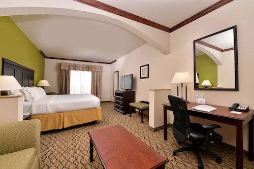 Holiday Inn Express Hotel & Suites Sherman Highway 75 by IHG