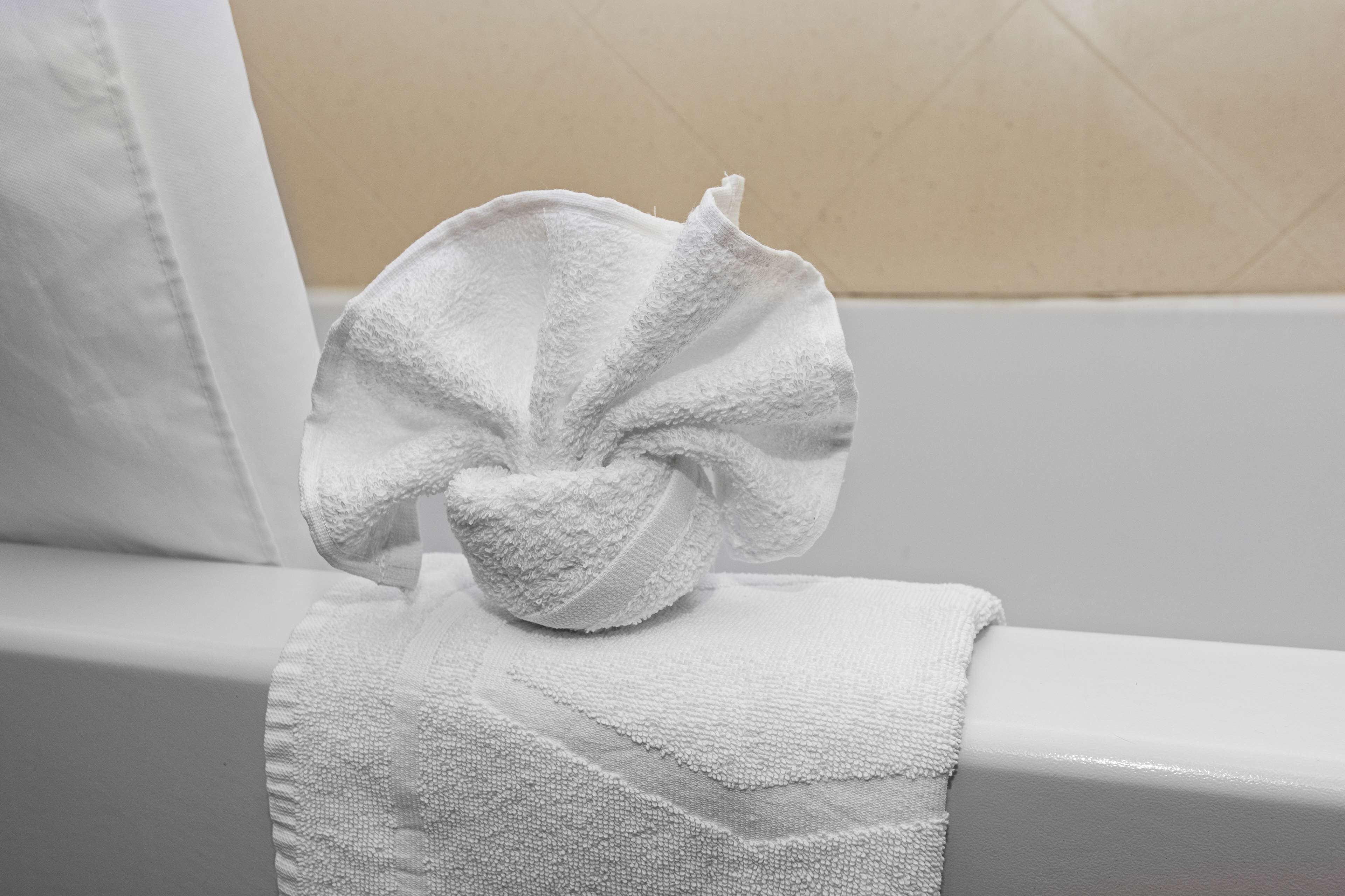 combined shower/bathtub, free toiletries, hair dryer, towels