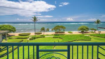 A view from a balcony overlooking a well-maintained garden with a beach and ocean in the background.