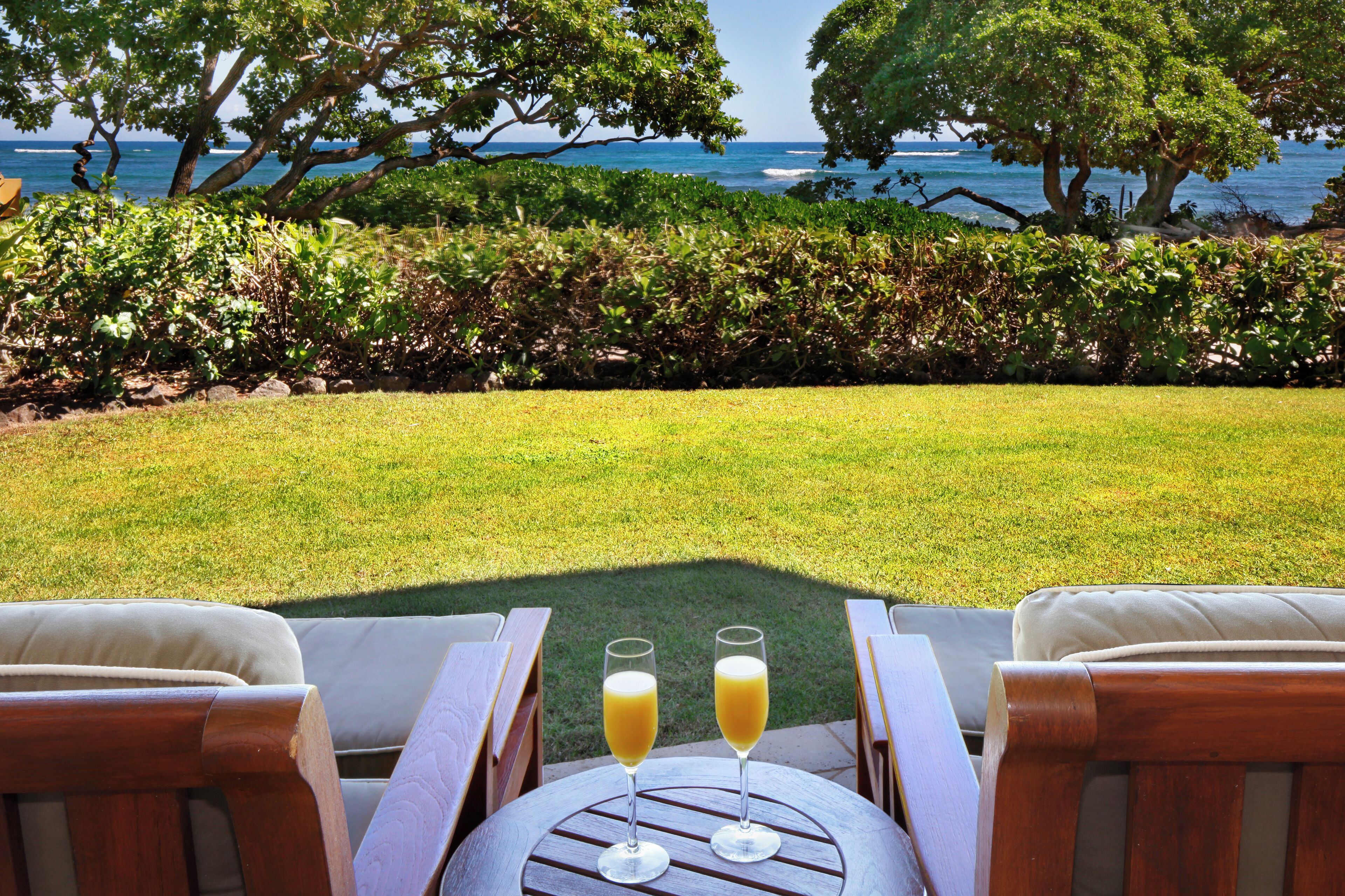 A view from a patio with two glasses of orange juice on a wooden table, overlooking a grassy area and a body of water.